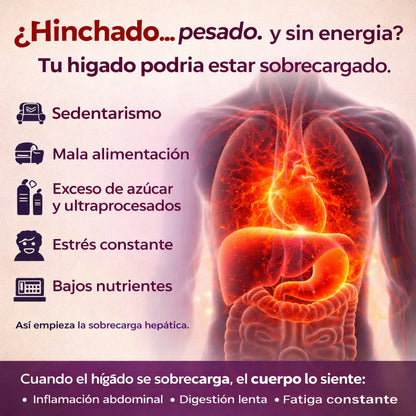 ¿Hinchado… pesado… y sin energía? Tu hígado necesita apoyo natural.